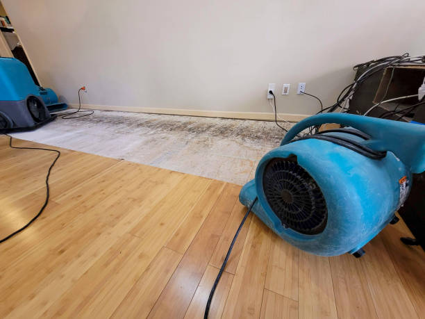 Professional Water Damage Repair technician working in Lykens, PA